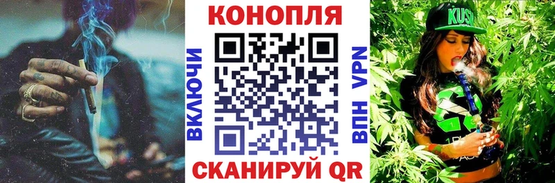где найти   Елабуга  Канабис конопля 